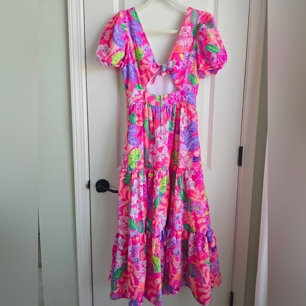 Lilly Pulitzer Grace Dress - Picture 2 of 2